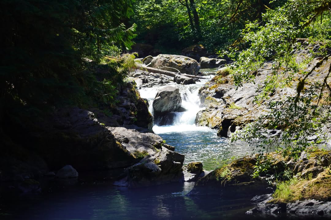 Small falls on Sol Duc river off the road