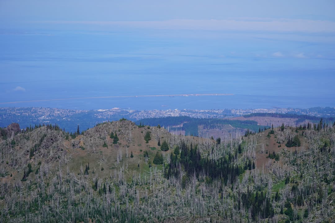 Strait of Juan de Fuca from Hurricane Hill Trail