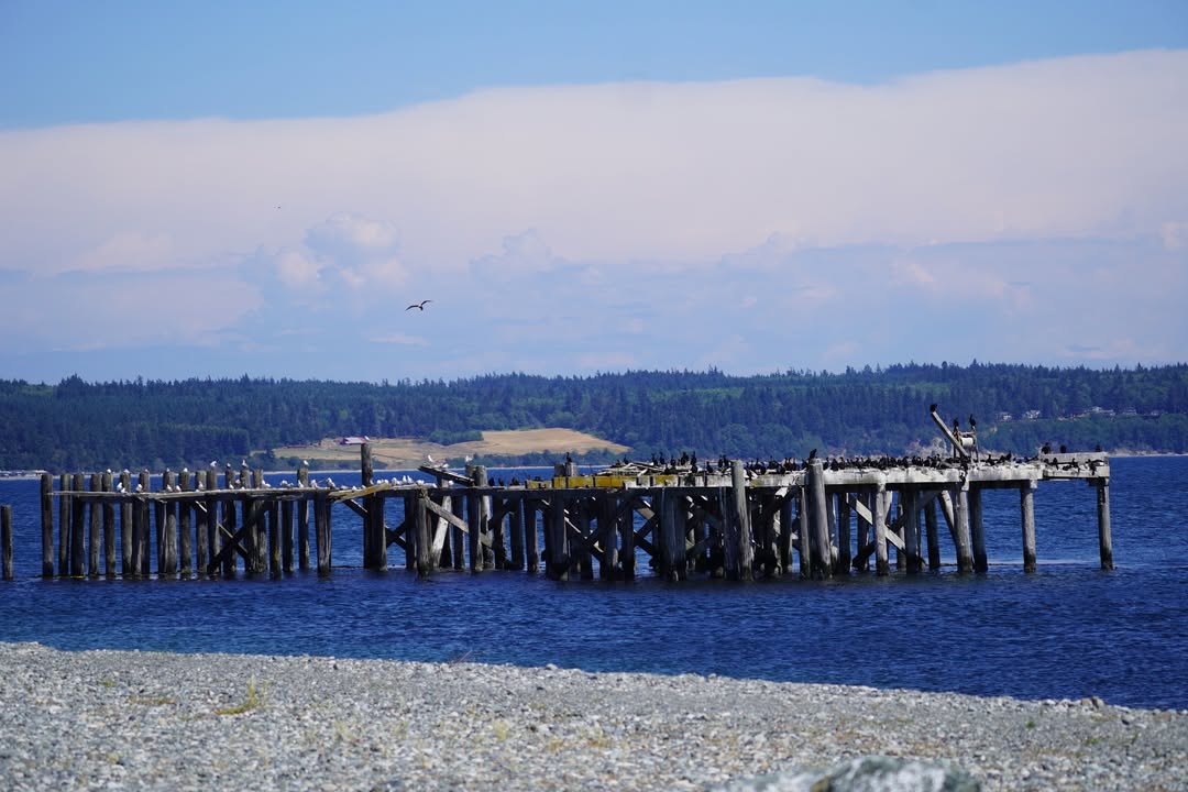 View while waiting on ferry in Coupesville
