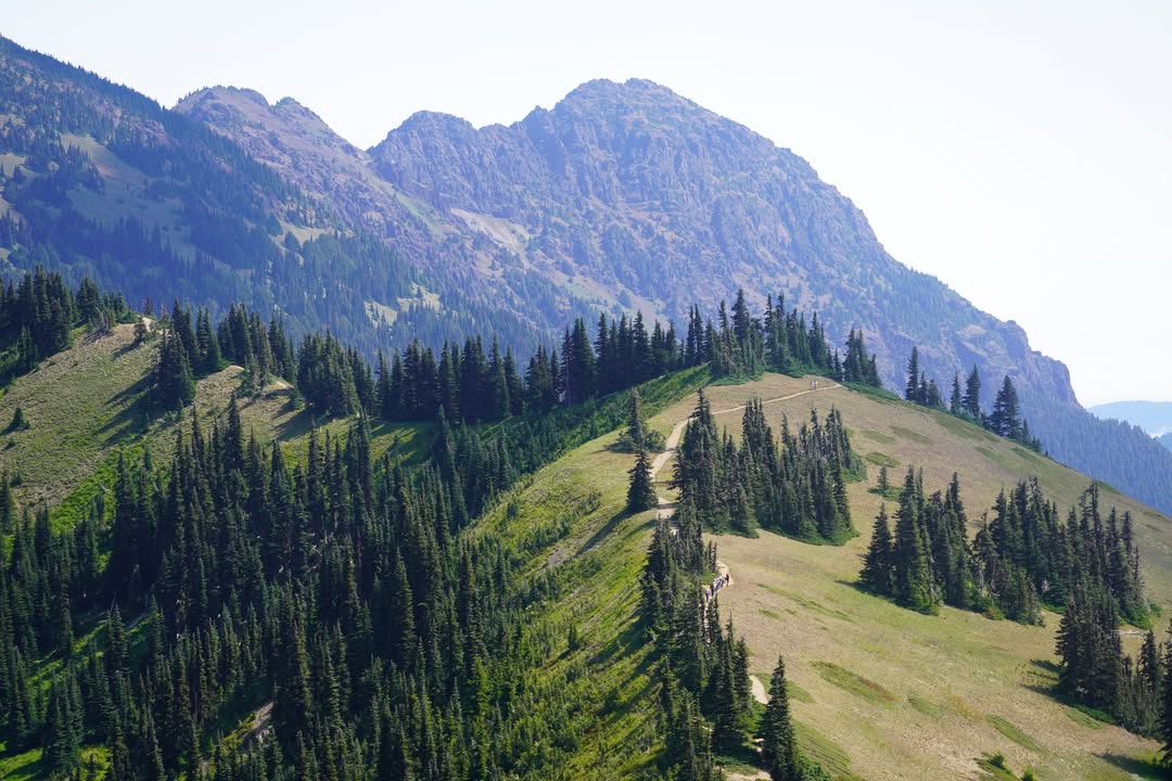 Viewpoint near Cirque Rim trail