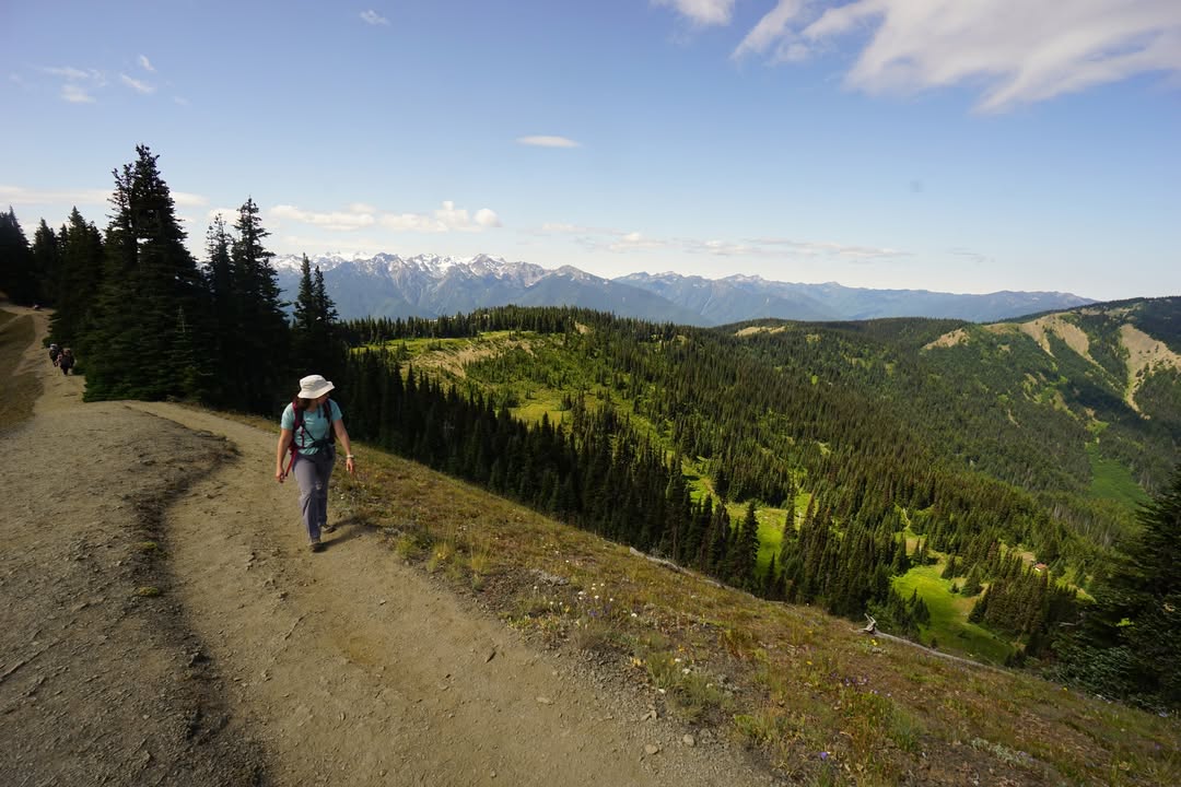 Viewpoint near Cirque Rim Trail