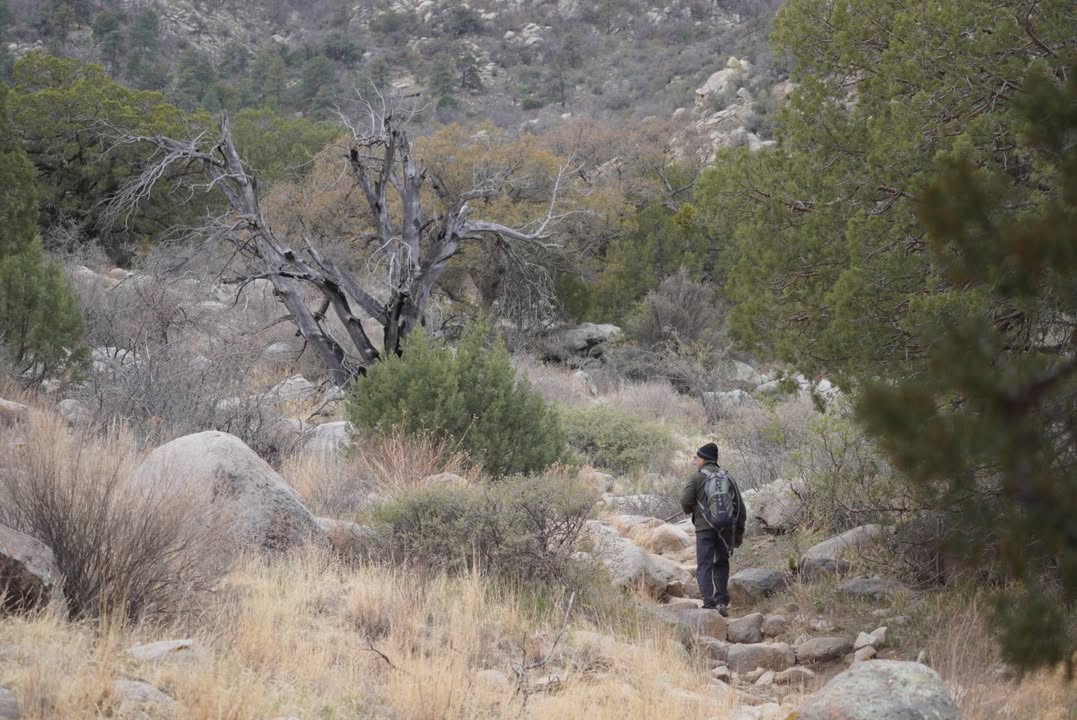 Pine Tree Loop Trail