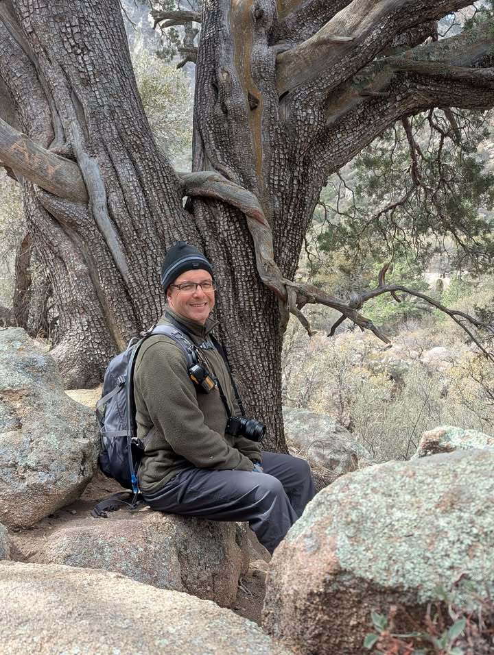 Pine Tree Loop Trail Tree