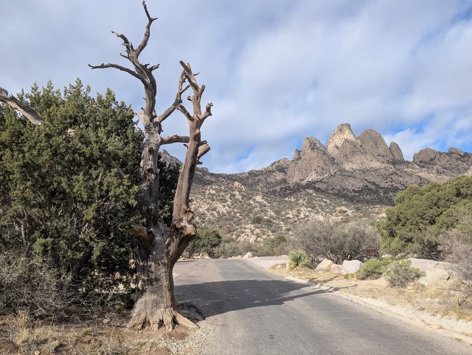 Road to Organ Mountains–Desert Peaks National Monument