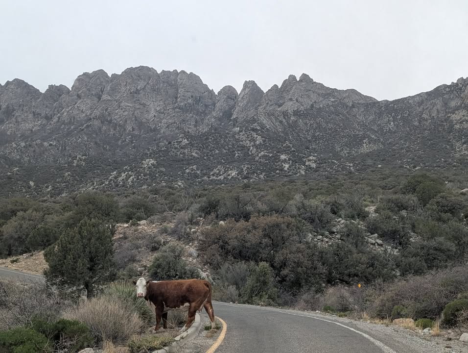 Road to Organ Mountains–Desert Peaks National Monument