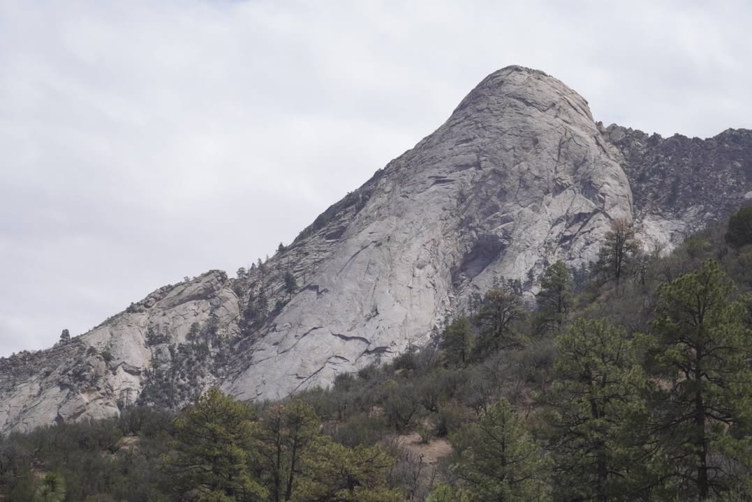 View from Pine Tree Loop Trail