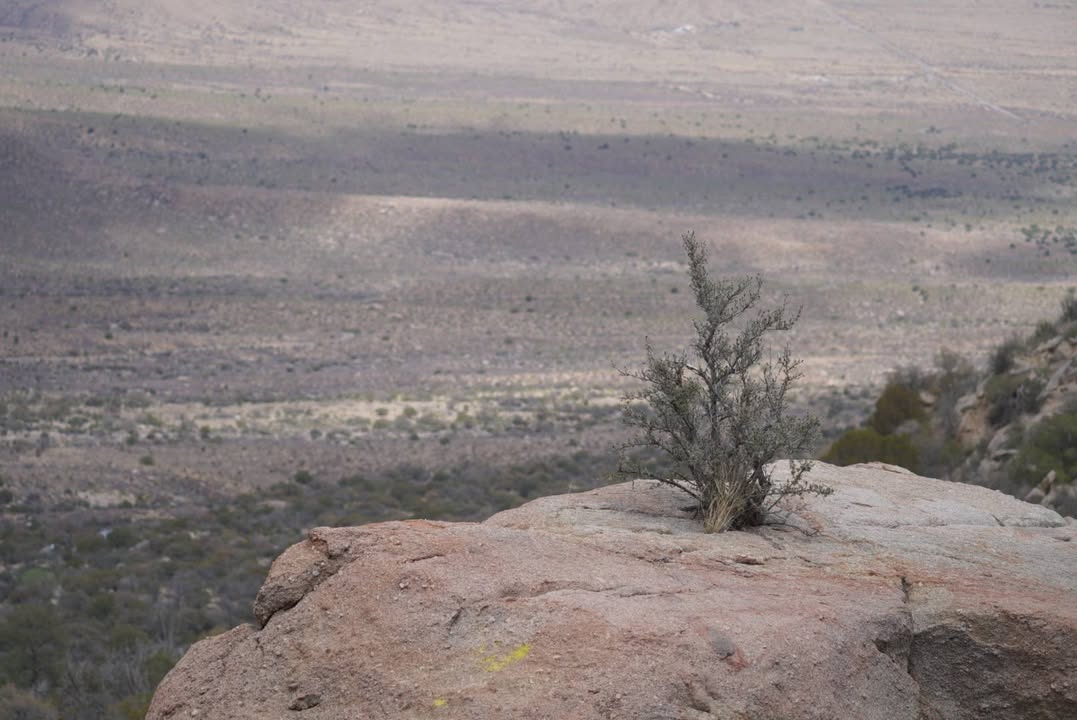 View from Pine Tree Loop Trail