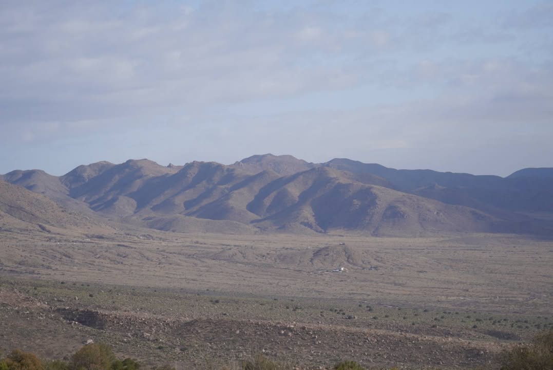 Views from Pine Tree Loop Trail