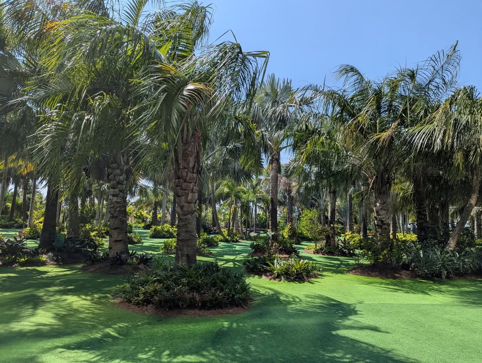 Lake Nona Sculpture Garden