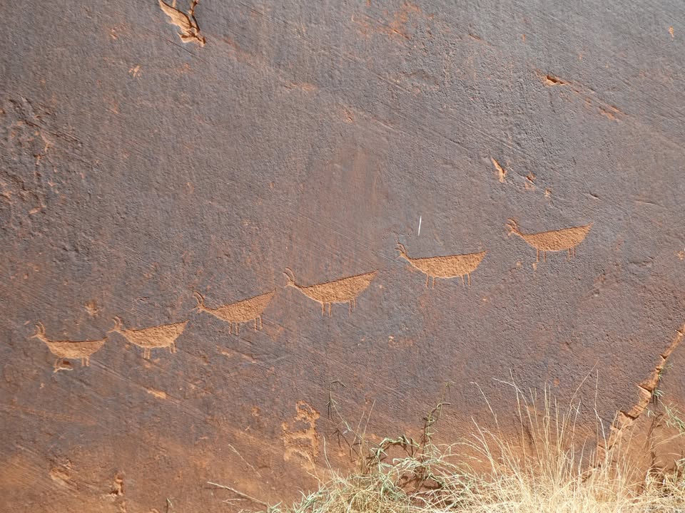 Petroglyph at Petroglyph Beach