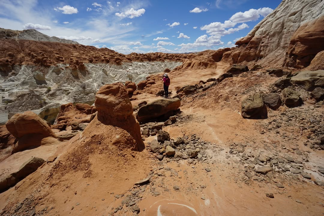 Views along Toadstool Hoodoo Trail