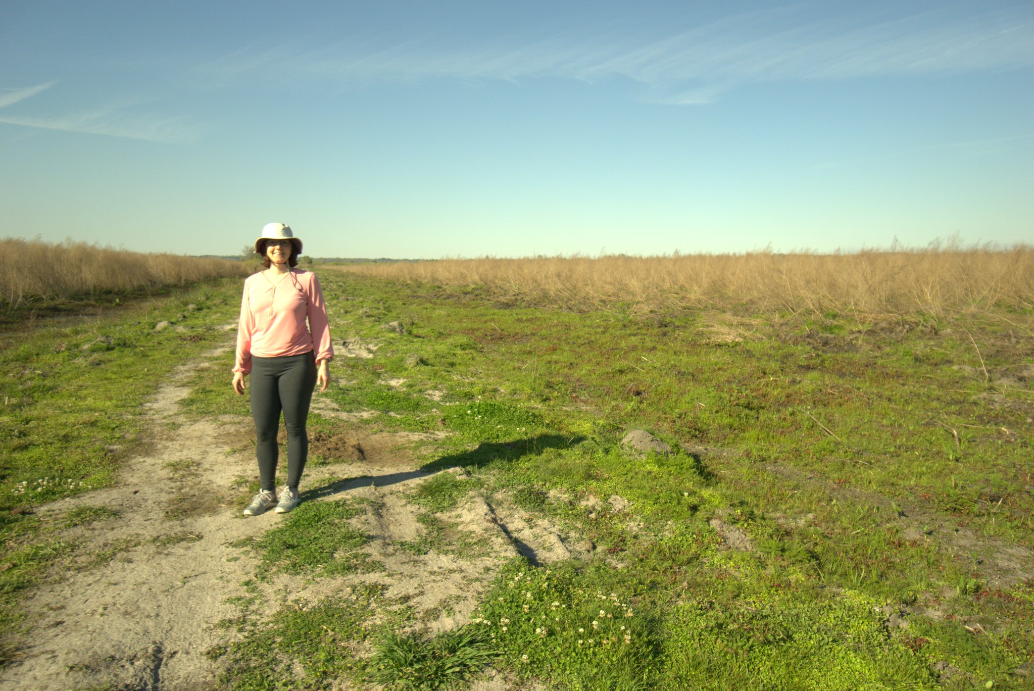 Paynes Prairie Preserve State Park
