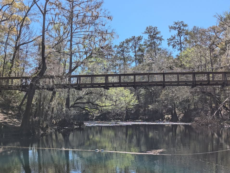 Suspension bridge over Santa Fe River