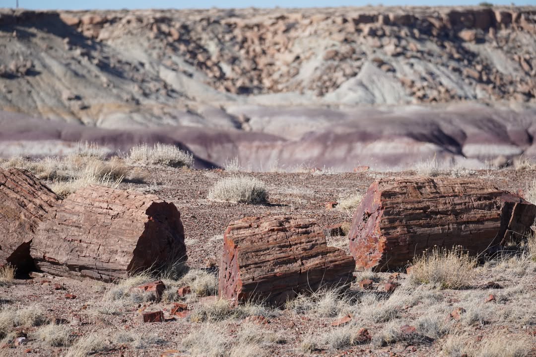 Blue Mesa Trail