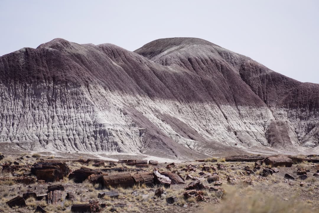 Blue Mesa Trail