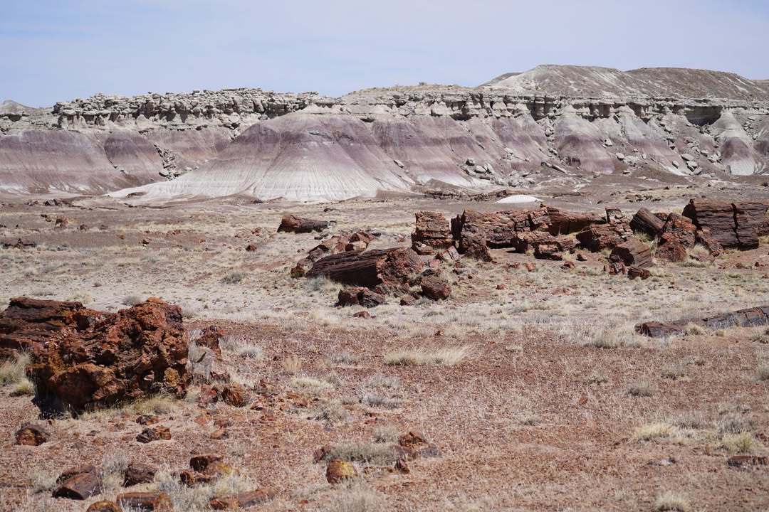 Blue Mesa Trail