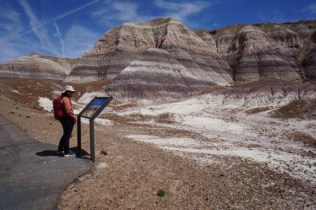 Blue Mesa Trail