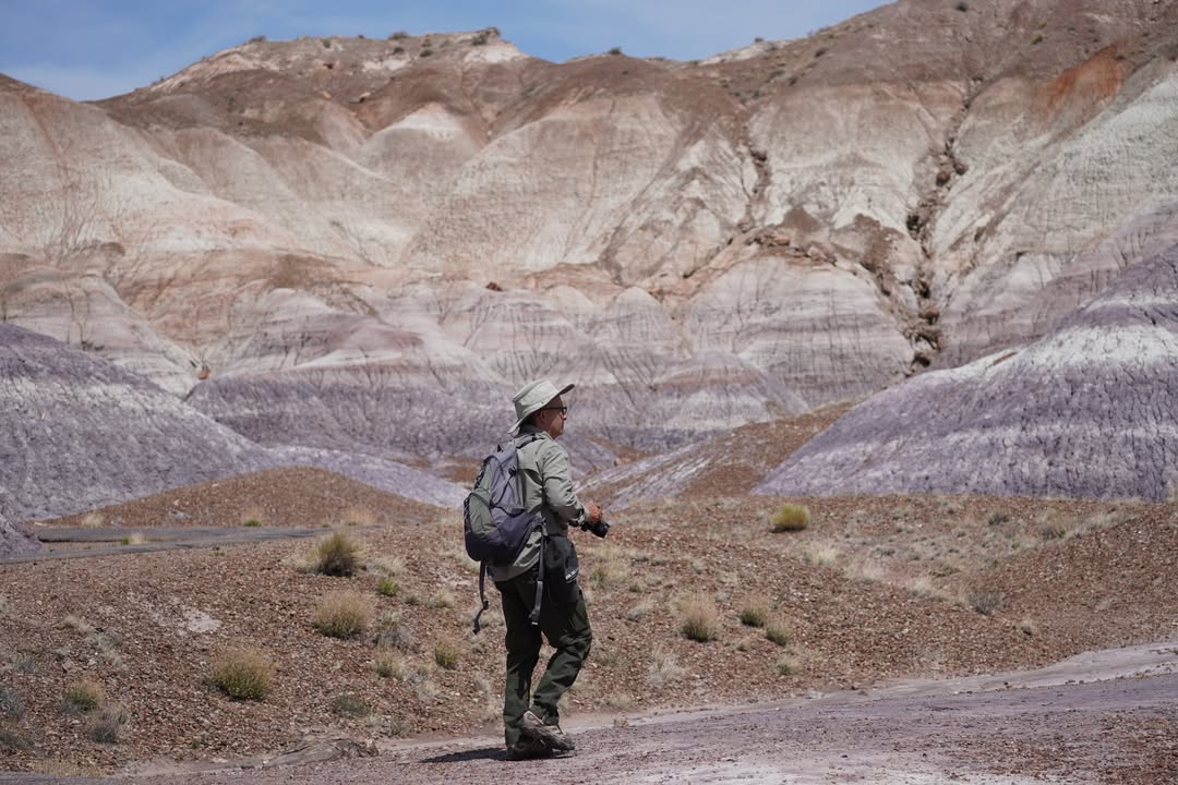 Blue Mesa Trail