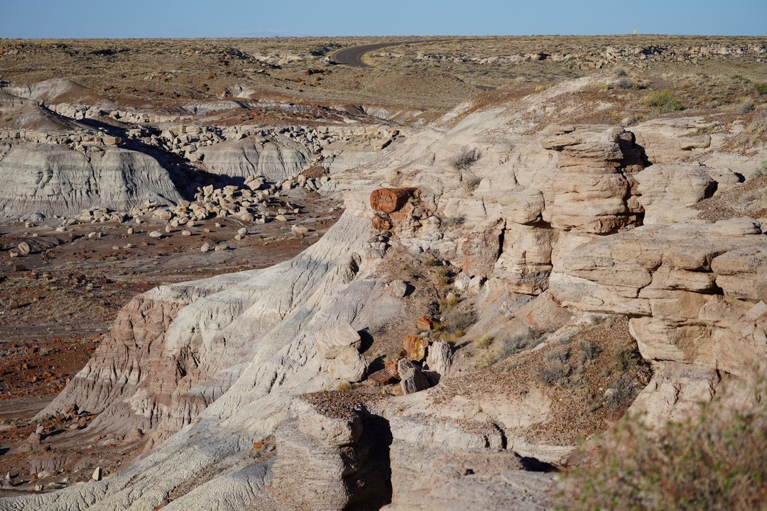 Crystal Forest Overlook