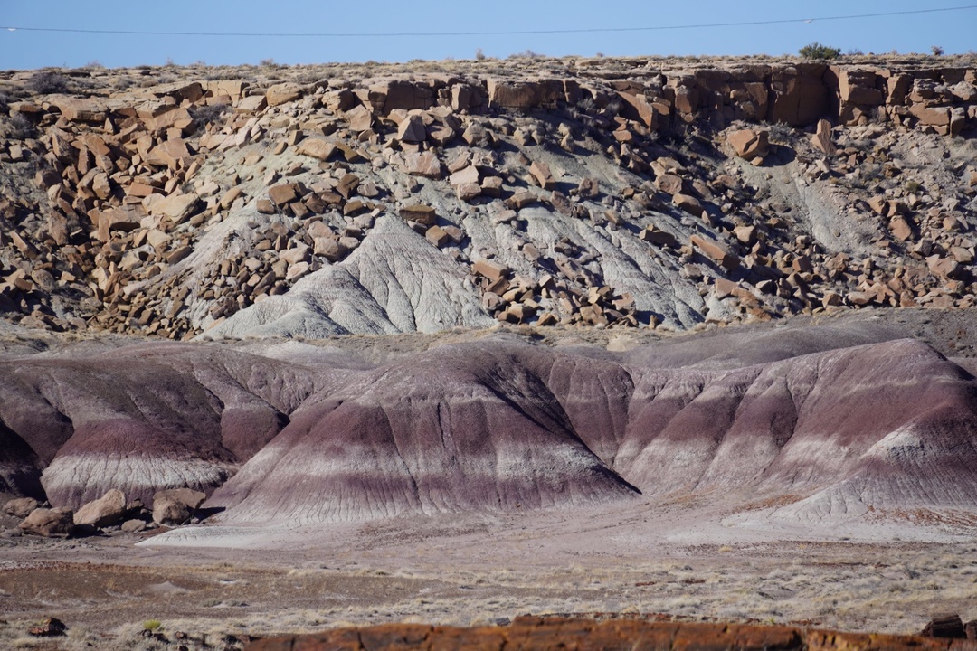 Giant Logs Trail Views