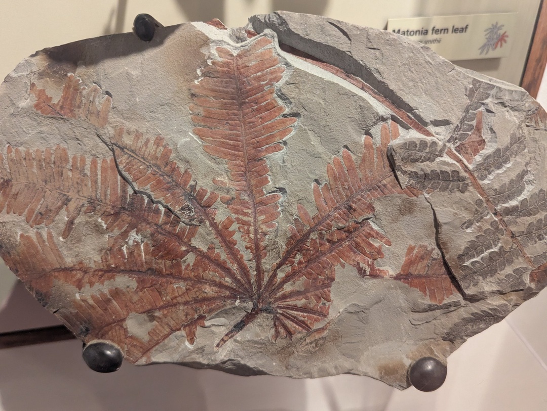 Inside Petrified Forest Visitors Center