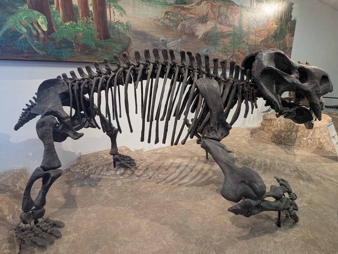Inside Petrified Forest Visitors Center