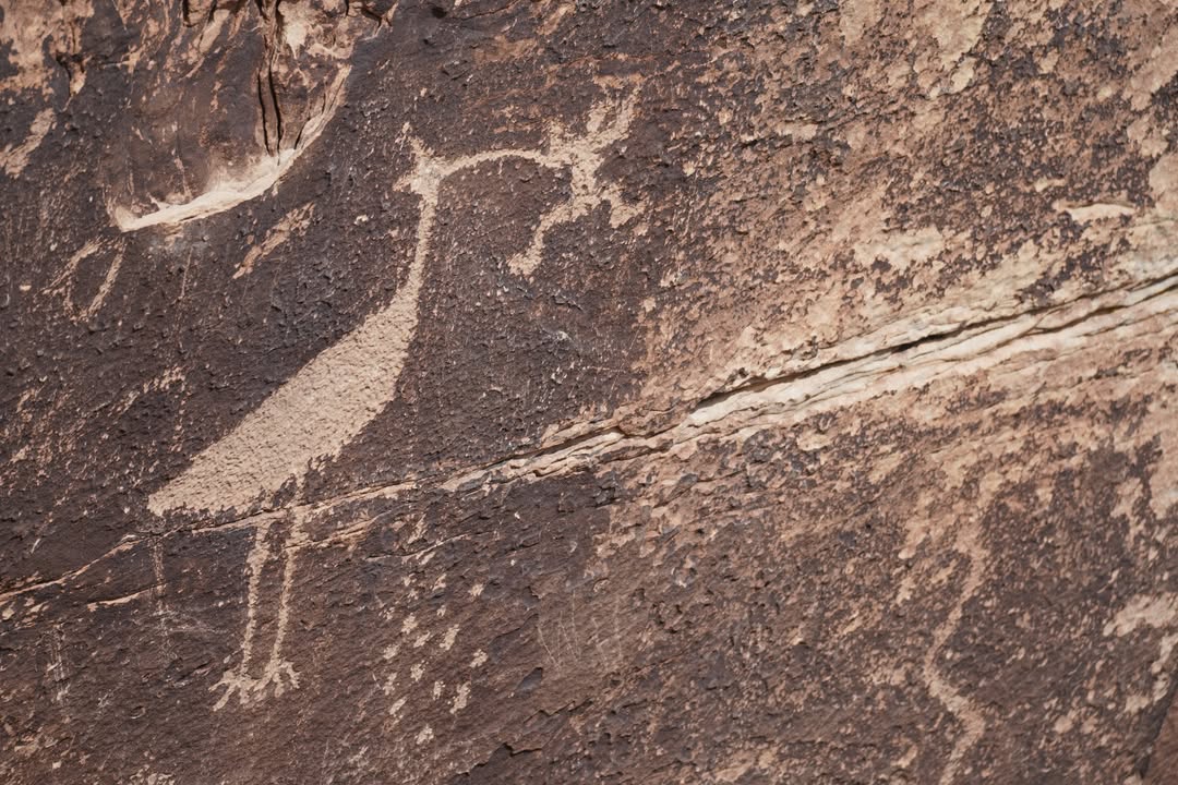 Newspaper Rock Petroglyphs