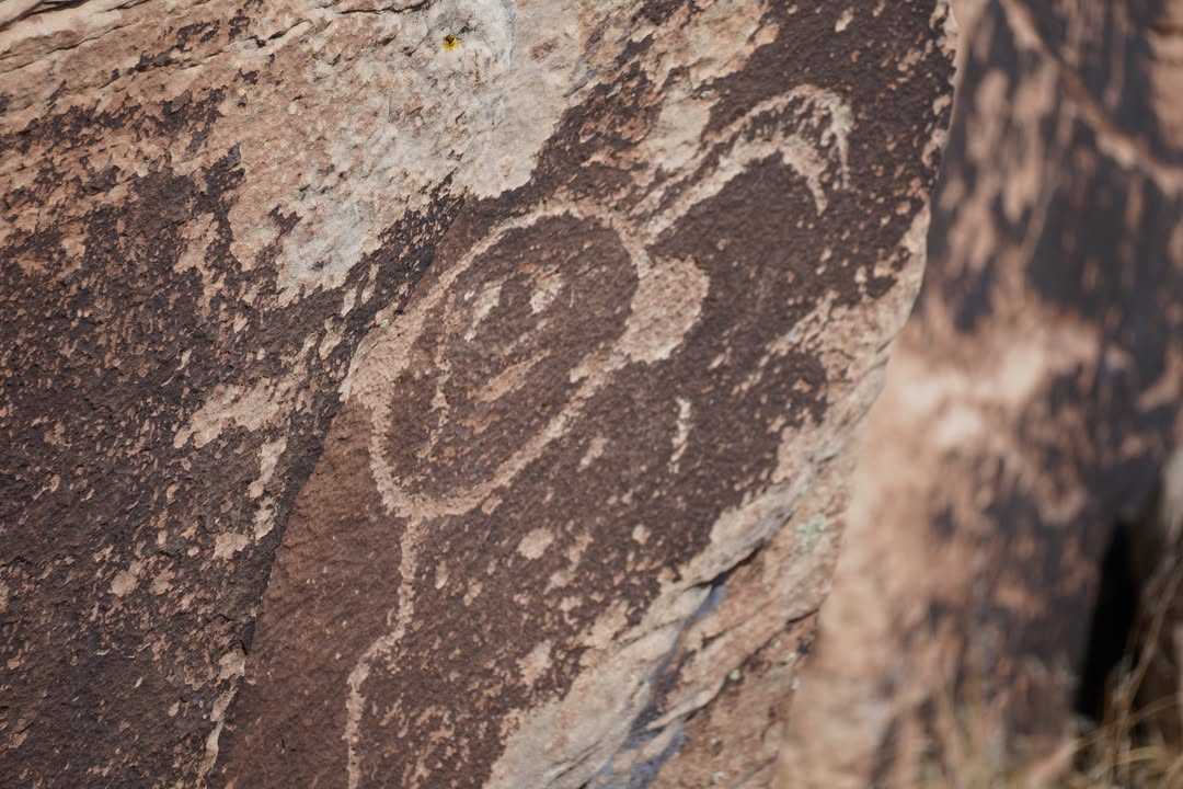 Newspaper Rock Petroglyphs