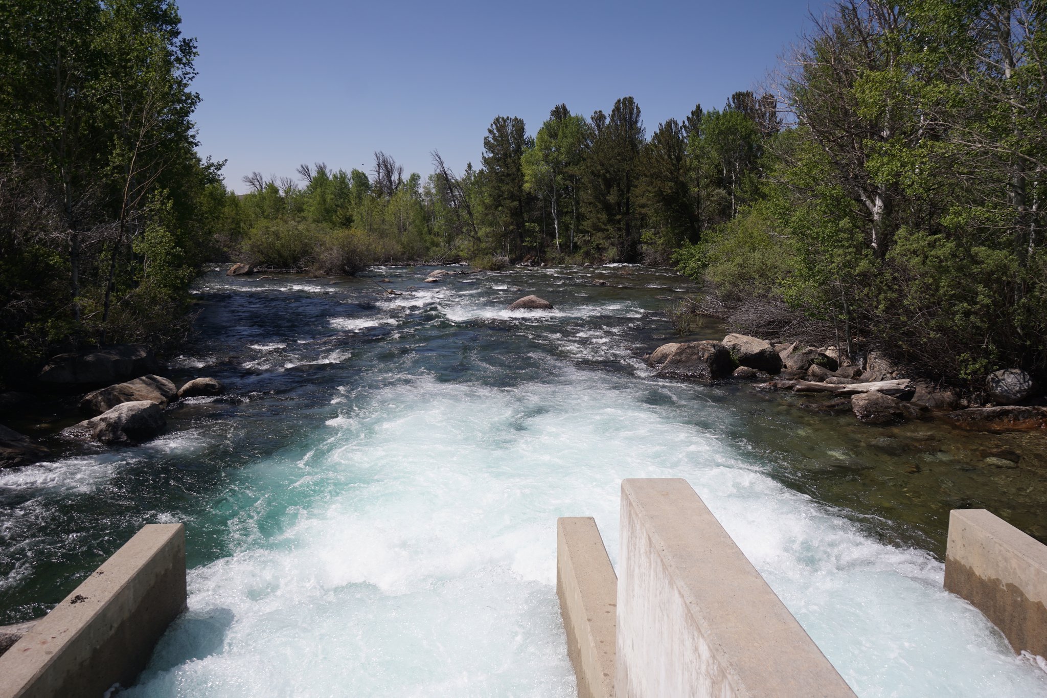 Dam at CCC Ponds