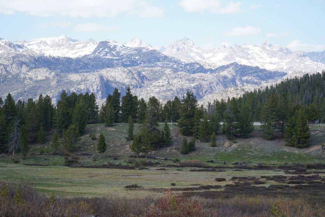 View from Skyline Drive pullout