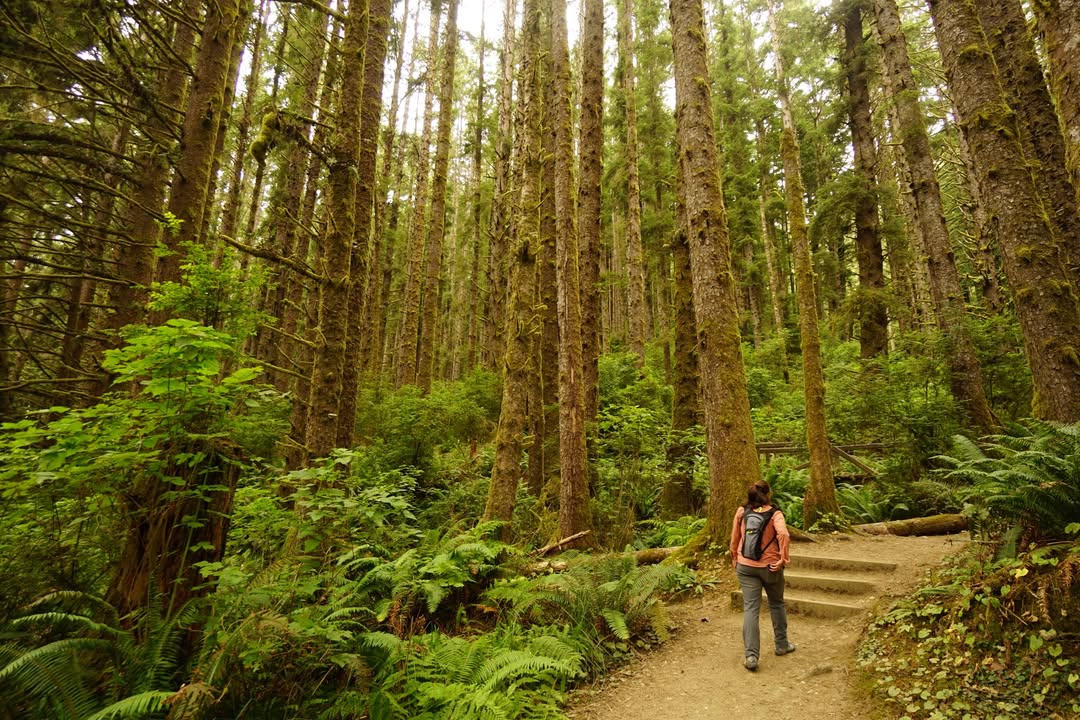 Redwood National Park, CA
