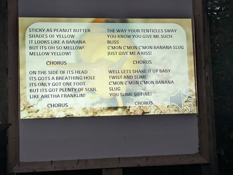 Banana Slug Song from Ranger Talk at Jebediah Smith Campground