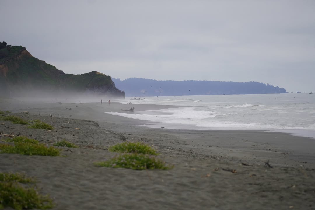 Beach near Thomas H. Kuchel Visitor Center