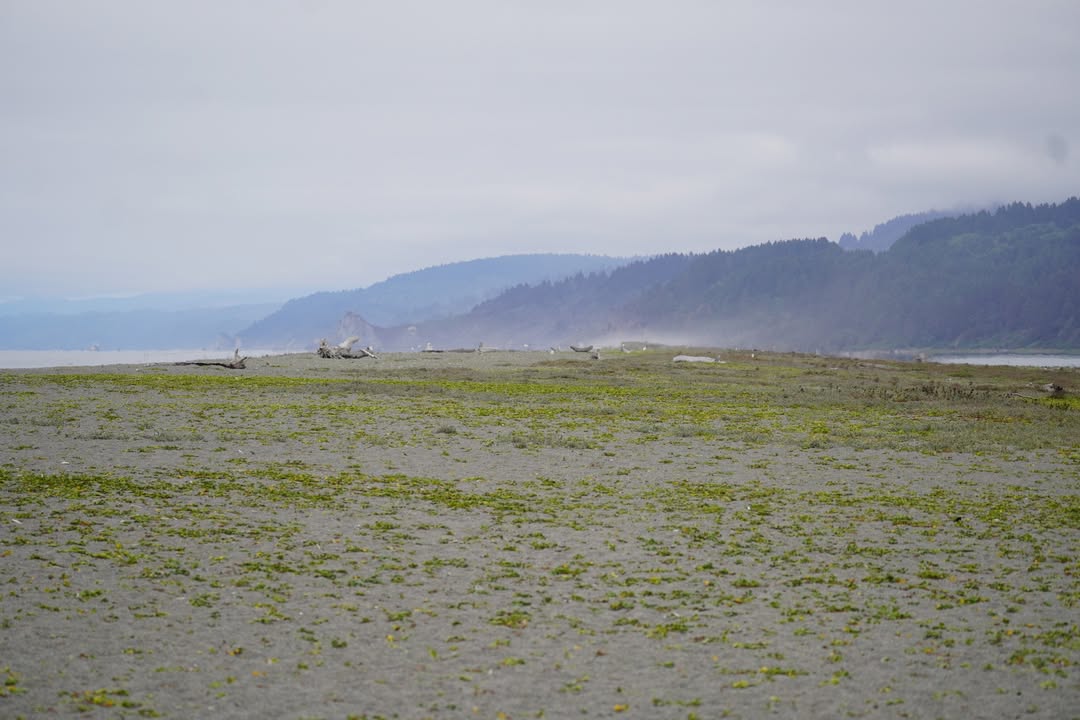 Blue Lake County Park - Spit