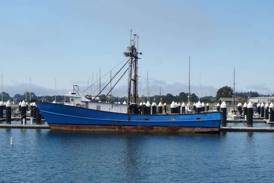 Crescent City Marina