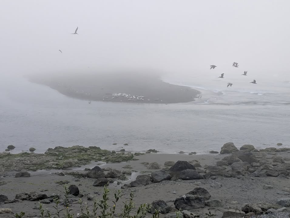Mouth of Smith River