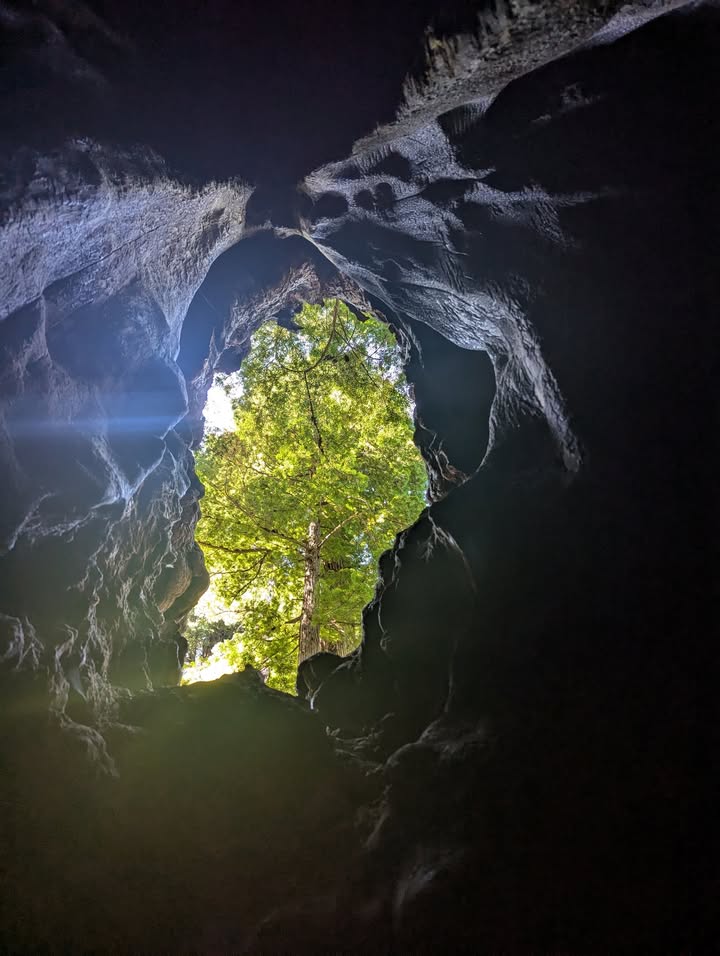 Peterson Memorial Trail