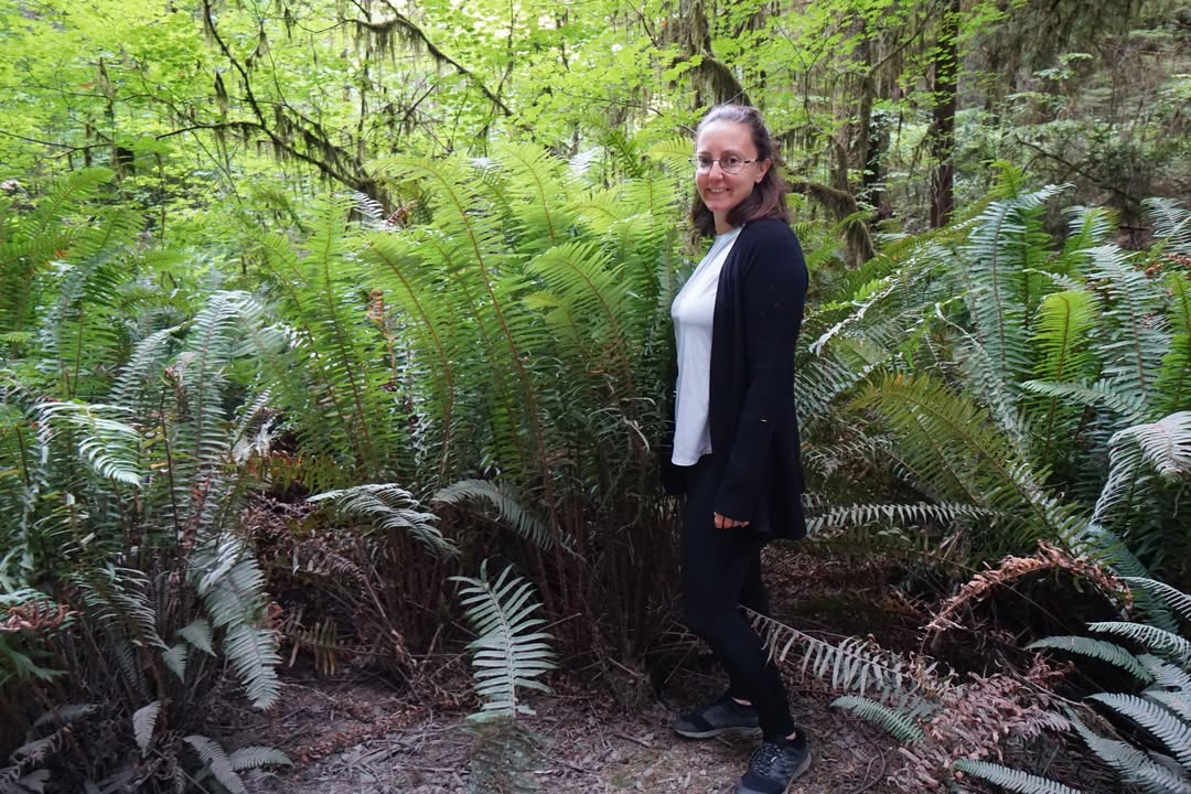 Sword ferns on Grove of the Titans Trail