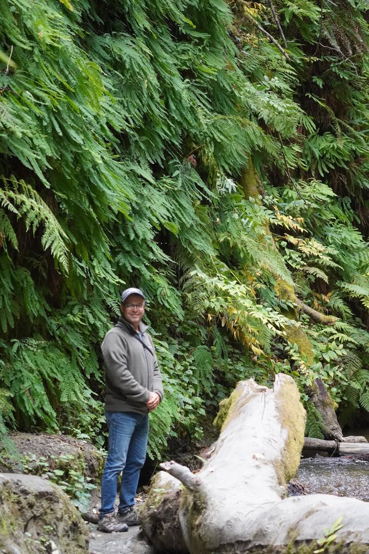 Redwoods National Park, CA