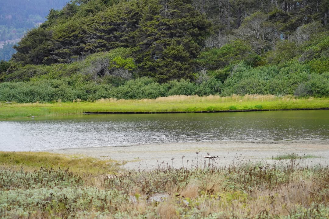 Blue Lake County Park - Big Lagoon