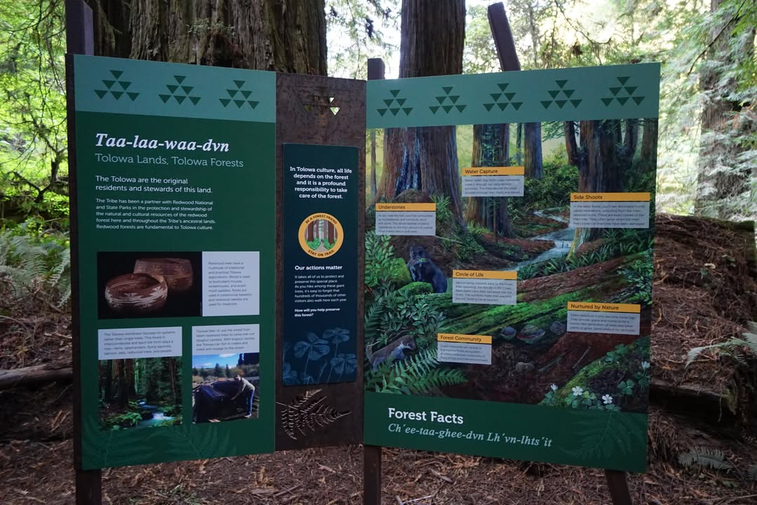 Grove of the Titans Trail