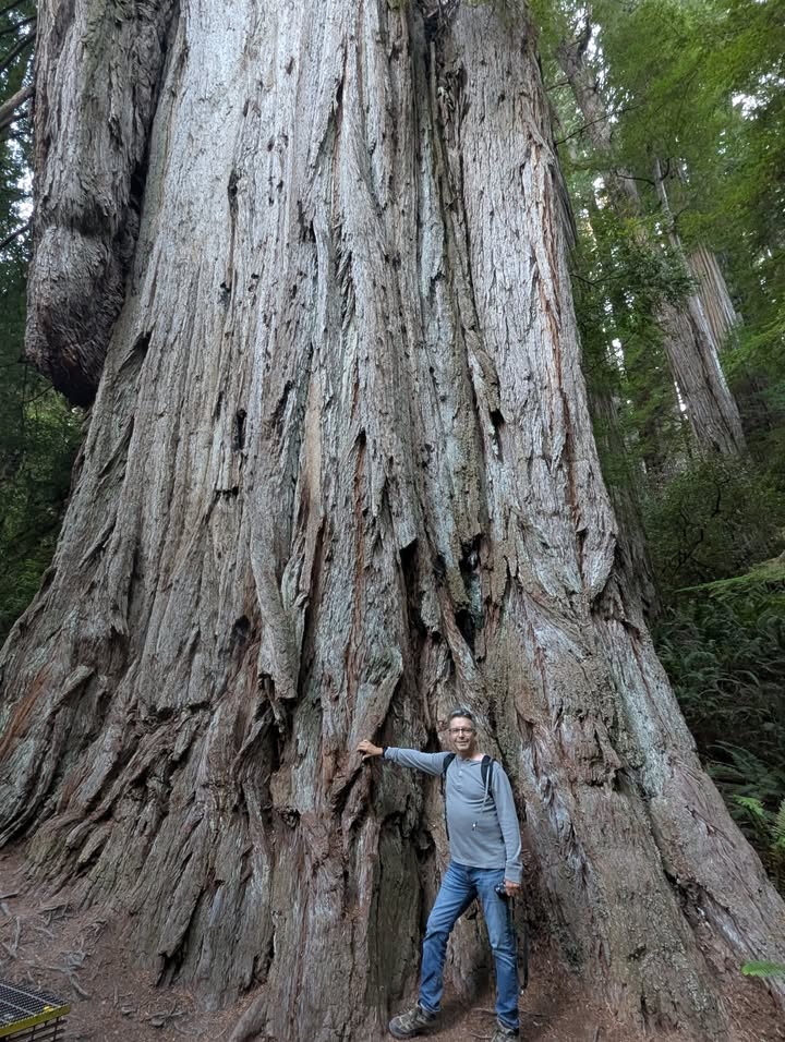 Grove of the Titans Trail