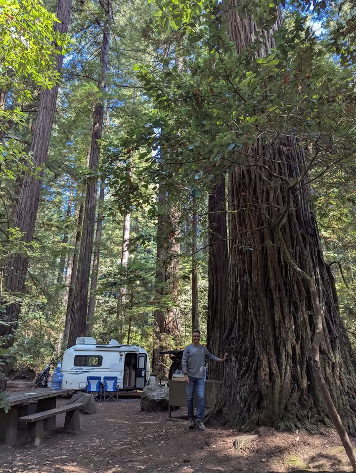 Jebediah Smith campsite tree