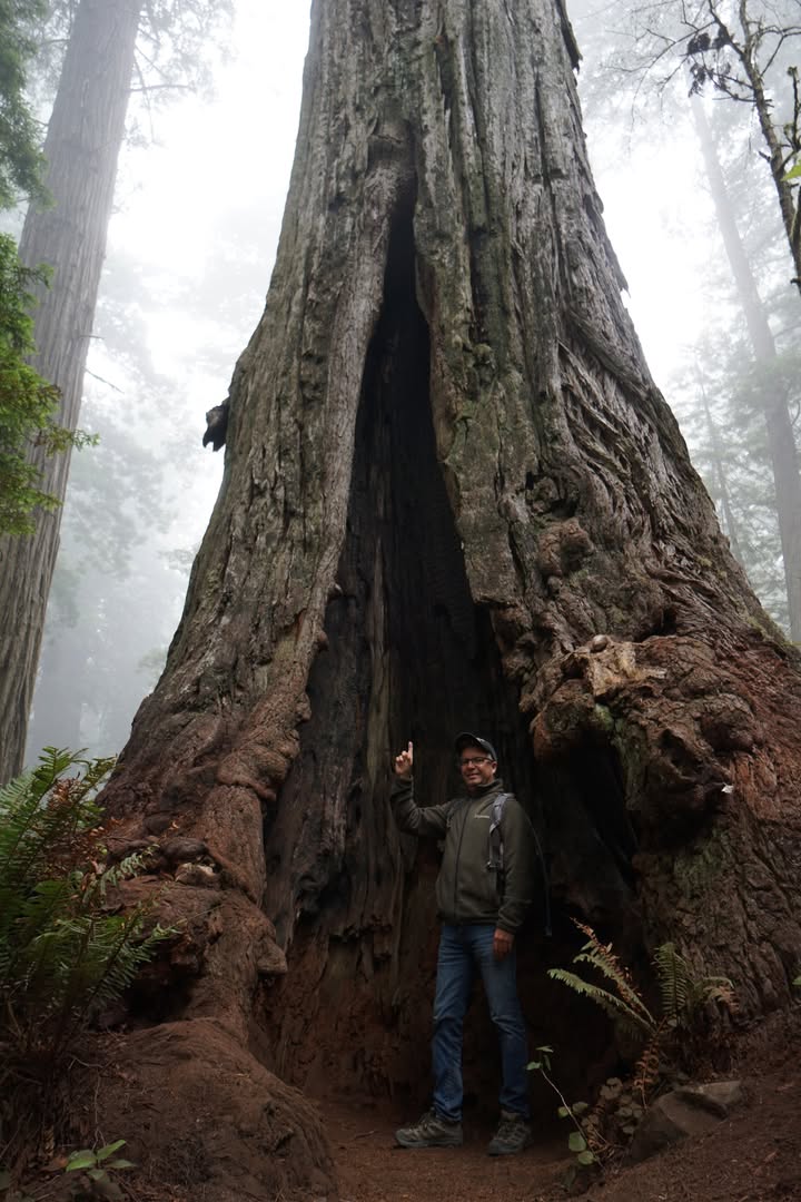 Ladybird Johnson Grove Trail