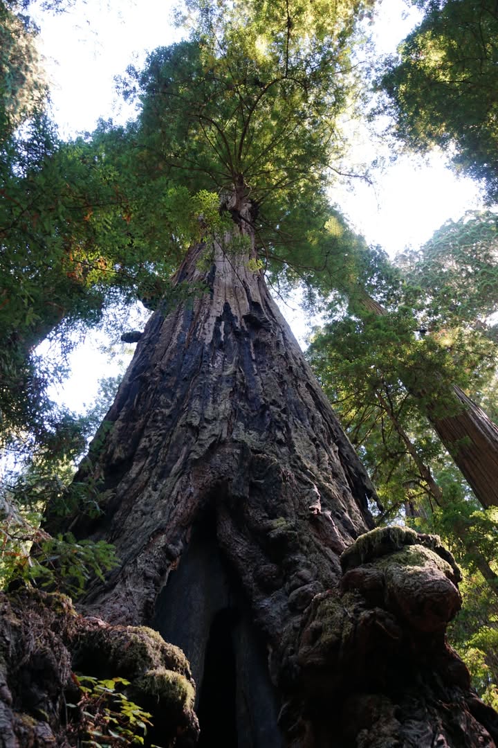 Peterson Memorial Trail