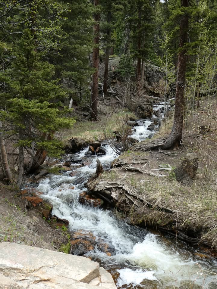 Chasm Falls off of Old Fall River Road