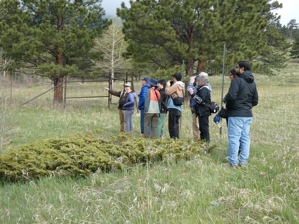 Guided bird watching in Beaver Meadows
