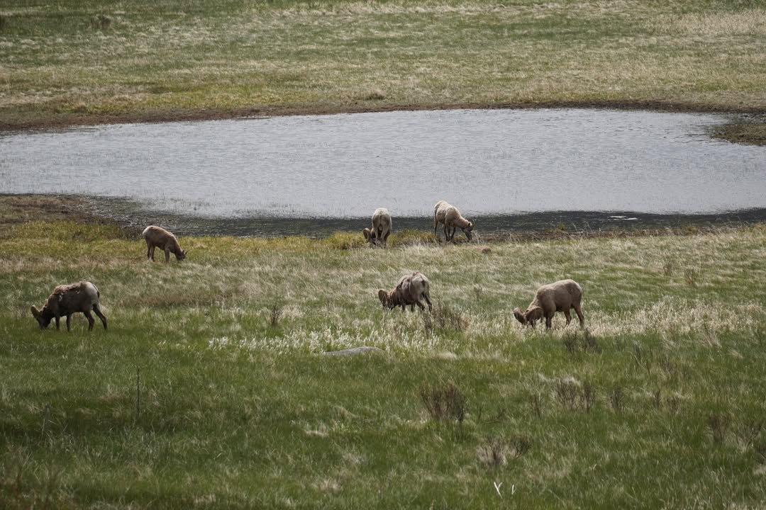 Rocky Mountain National Park, CO