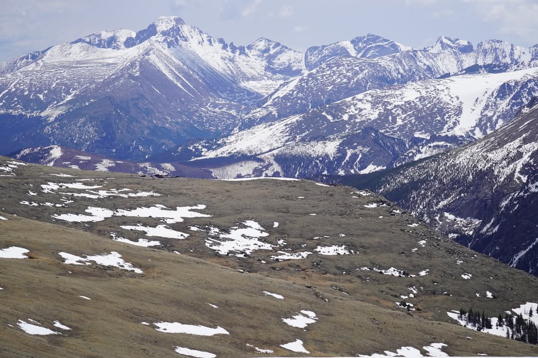 Trail Ridge Views