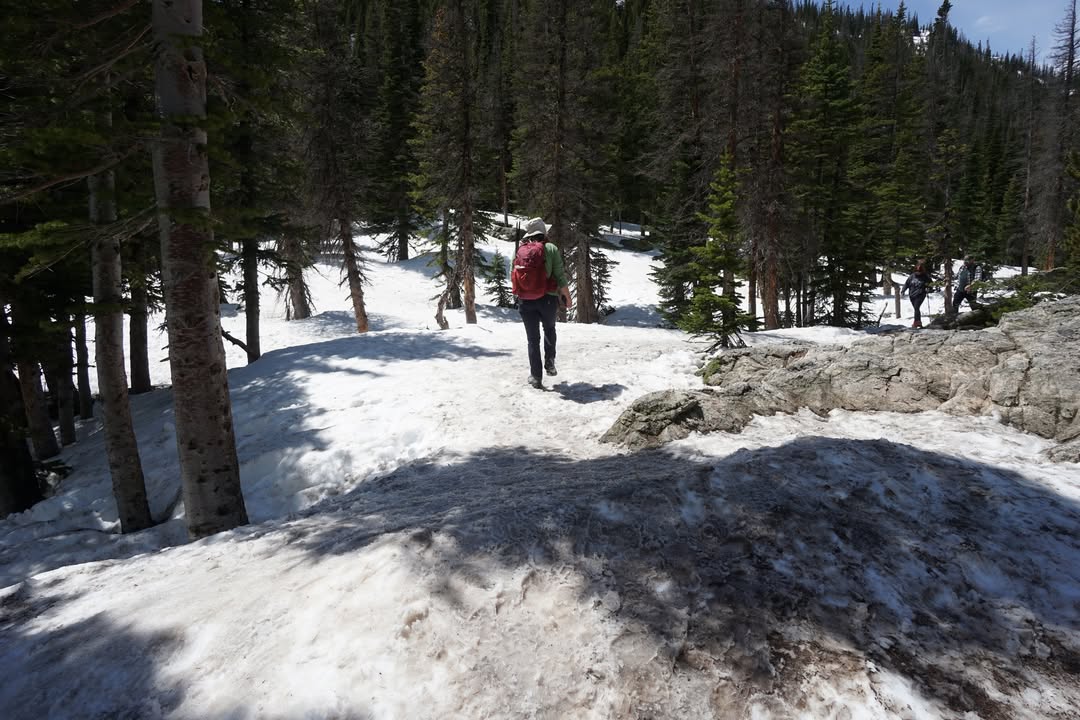 Trail to Emerald Lake